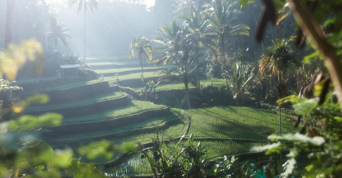 Affordable Beachfront Villas in Bali