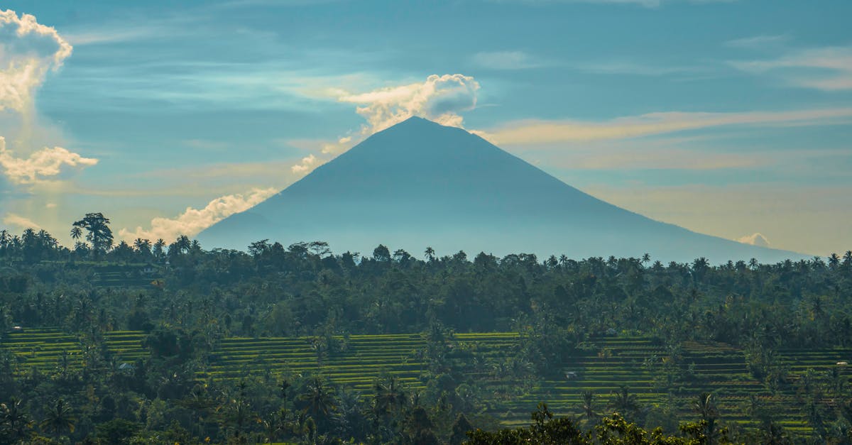 Experiencing Serenity in Ubud Villas