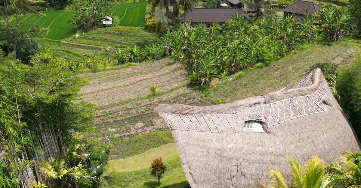 The Finest Canggu Villas for an Unforgettable Bali Holiday